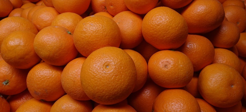みかんとオレンジの掛け合わせで生まれた品種、酸味少なく甘くてジューシー